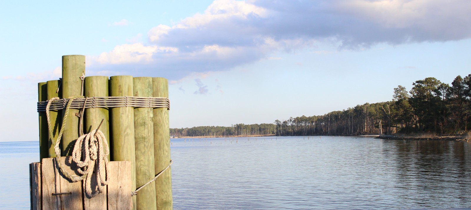 Waterfront Professionals Real Estate